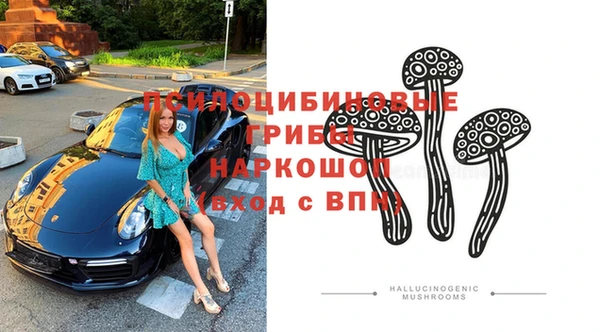 ПСИЛОЦИБИНОВЫЕ ГРИБЫ Михайловск