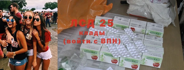 ПСИЛОЦИБИНОВЫЕ ГРИБЫ Михайловск
